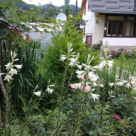 Casa Fetic ホームステイ ネホイウ