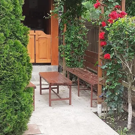 Casa Fetic