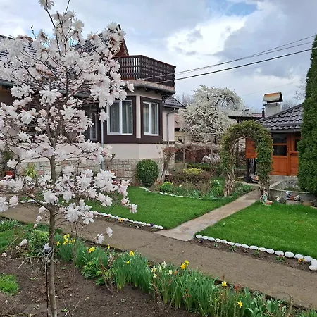 Casa Fetic
